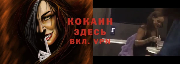 мескалин Бородино