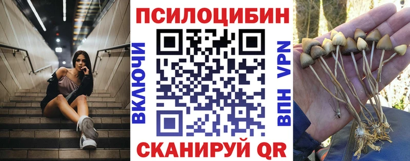 Псилоцибиновые грибы Cubensis  Купить где  Заозёрный 